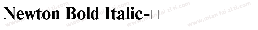 Newton Bold Italic字体转换